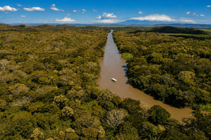 Aerial view of a brown river cutting through dense green forest under a clear blue sky, small boat on the river.
