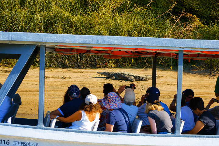 Tourists on a boat taking photos of a crocodile on a riverbank.