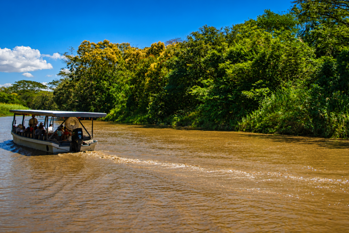 Small tour boat cruising on a muddy river surrounded by lush green trees under a clear blue sky.