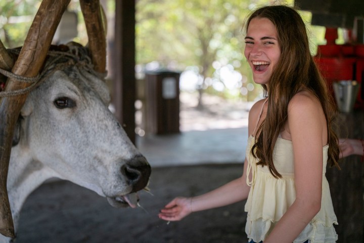 Girl smiling next to a cow with large horns under a shaded area.