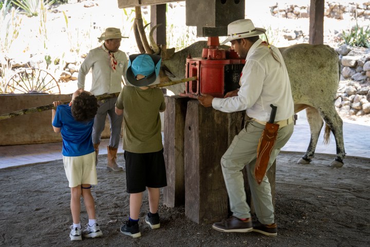 Children and adults with an ox at a traditional press in a rustic setting.