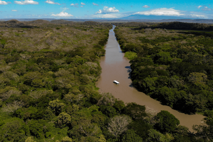 boat tour in Palo Verde