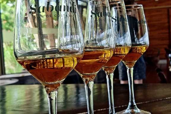 Four wine glasses with amber liquid on a wooden table in a rustic room.