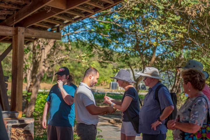 a group of people standing in a park