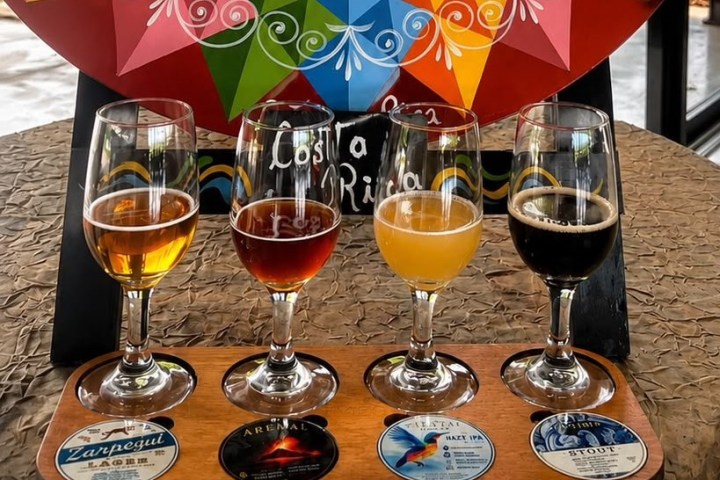 Four beers in glasses with colorful labels on a wooden tray.