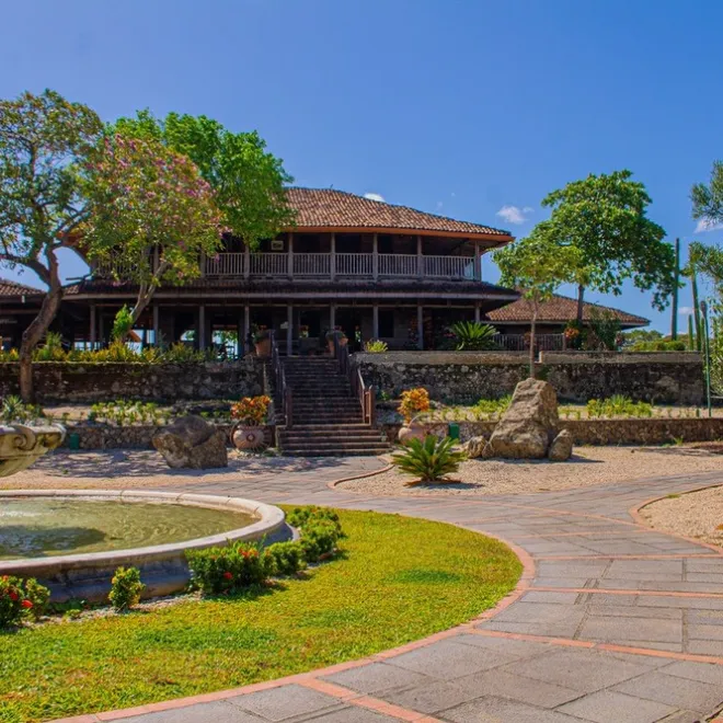 a close up of a garden