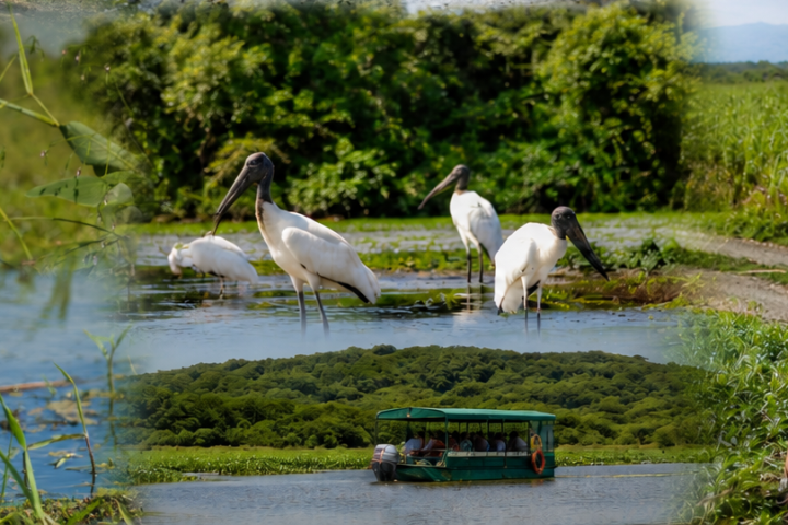 Photographers taking pictures of wetland birds and a boat on a river.