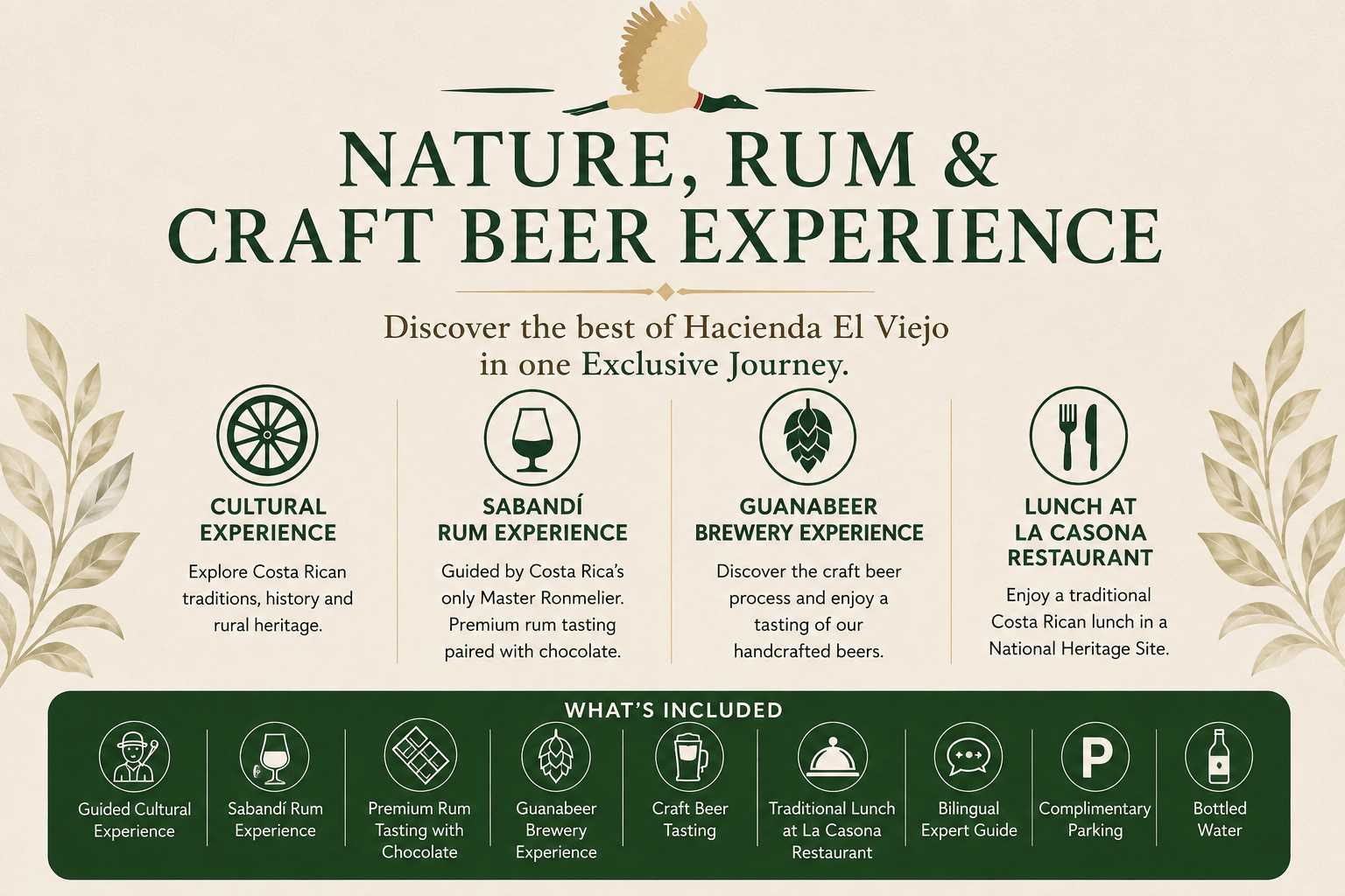 Infographic promoting nature, rum, and craft beer experiences at Hacienda El Viejo.