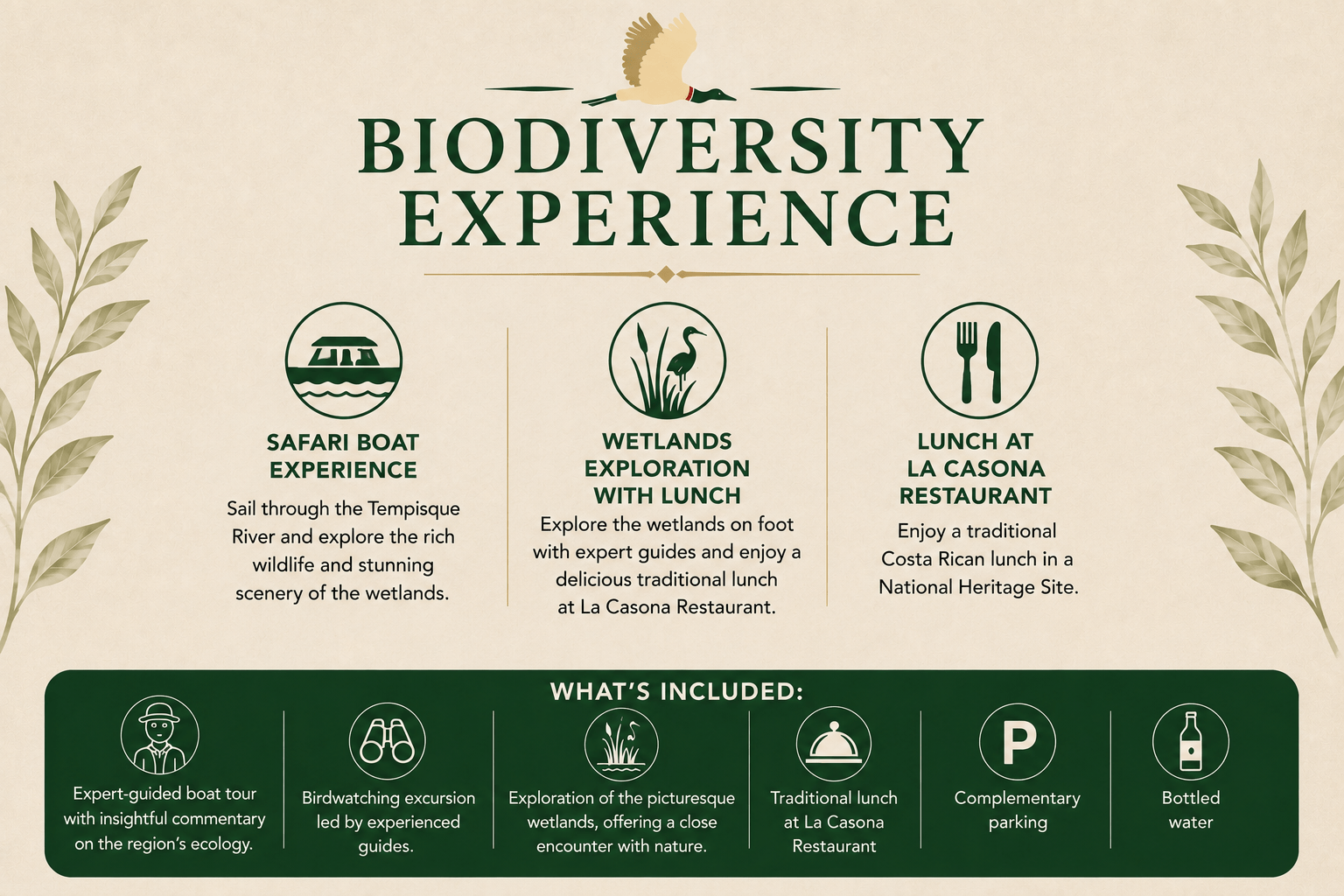 Biodiversity Experience brochure with safari, wetlands, and lunch details.