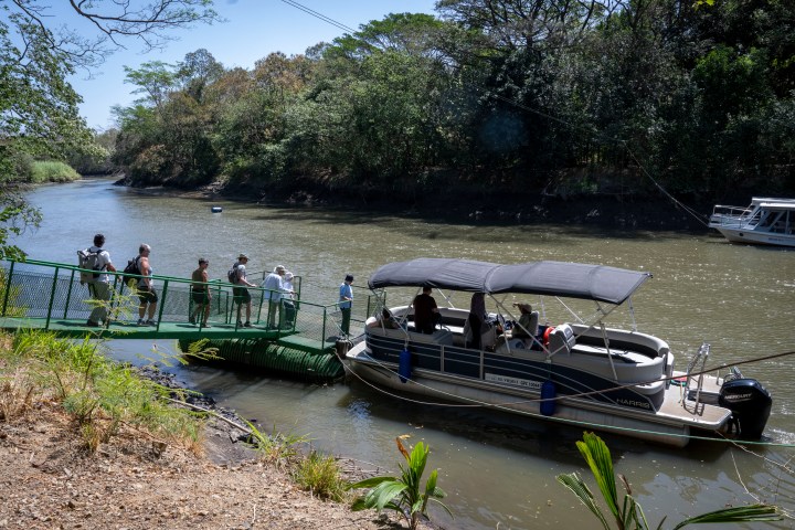 Tourists board a covered boat from a river dock surrounded by trees.