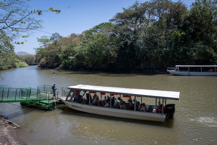 Tour boats docked on a river with passengers boarding and trees in the background.