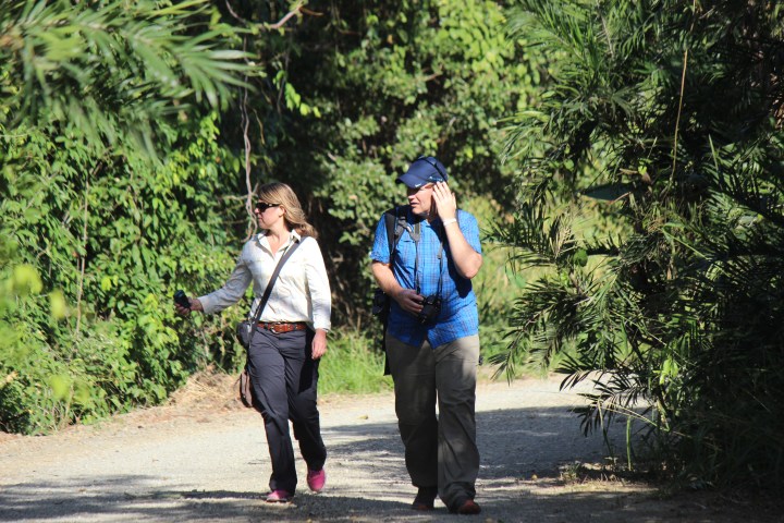 Two people walking on a forest path, surrounded by lush greenery.