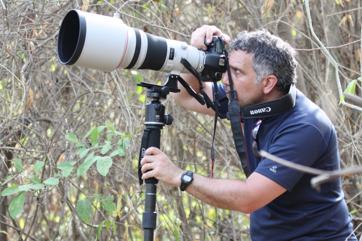 Photographer using long lens camera in a forest setting.