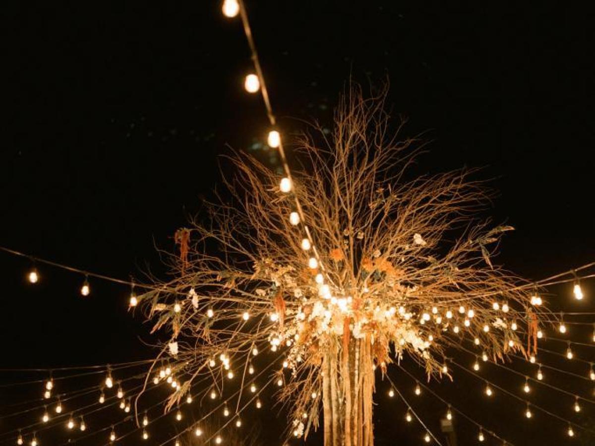Outdoor nighttime event with string lights on tree installations.